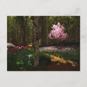 Postal del concierto del árbol del cerezo