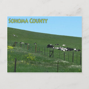 Postal del condado de Sonoma