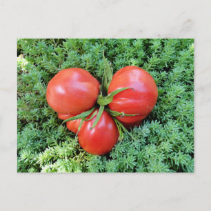 Postal del corazón del tomate