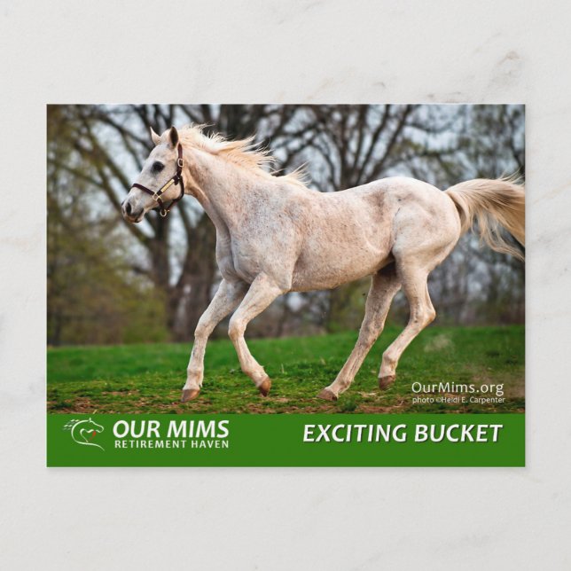 Postal del cubo excitante (Anverso)