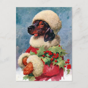 Postal del Dachshund del acebo del navidad del