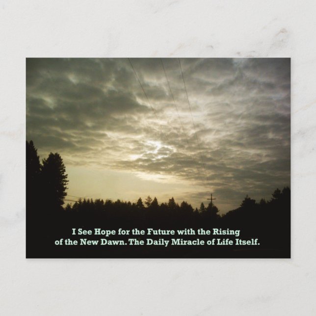 Postal del Daily Miracle (Anverso)