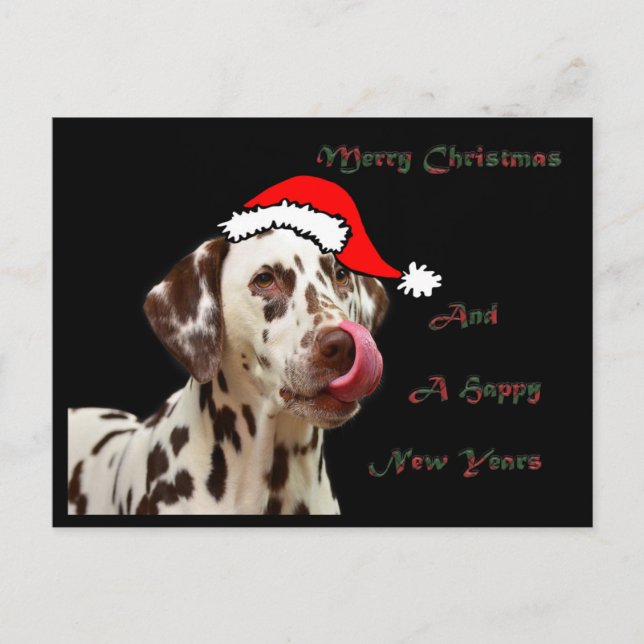 Postal del Dalmatian del navidad (Anverso)