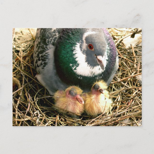 Postal del Día de la Madre (Anverso)