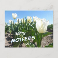 Postal del Día de la Madre con los tulipanes blanc