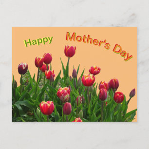 Postal del Día de la Madre con tulipanes rosados m