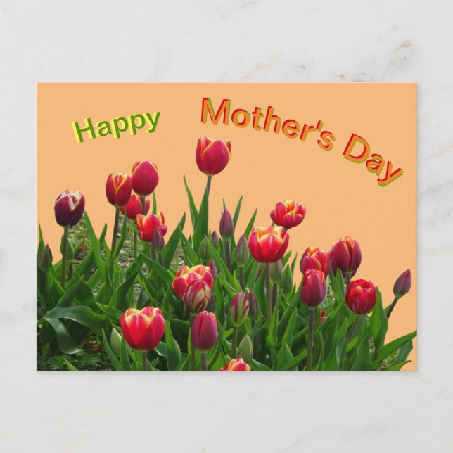 Postal del Día de la Madre con tulipanes rosados m (Anverso)