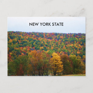 postal del estado de NUEVA YORK en OTOÑO