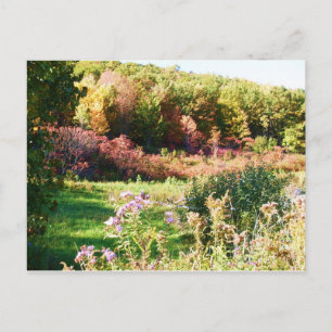 postal del estado RURAL de NUEVA YORK