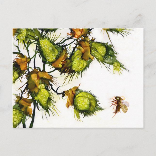 Postal del "explorador" por JAC (Anverso)