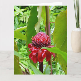 Postal del feliz cumpleaños de Hawaii