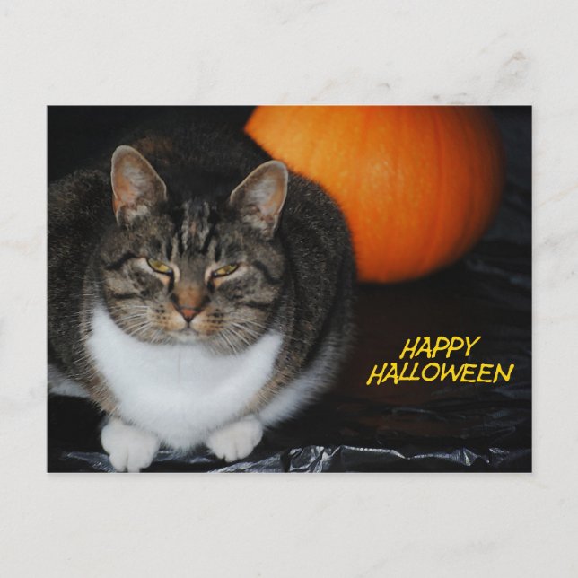 Postal del feliz Halloween del gato y de la (Anverso)