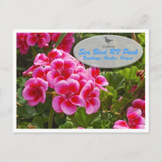 Postal del Gardenia