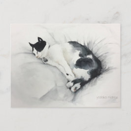 Postal del gato