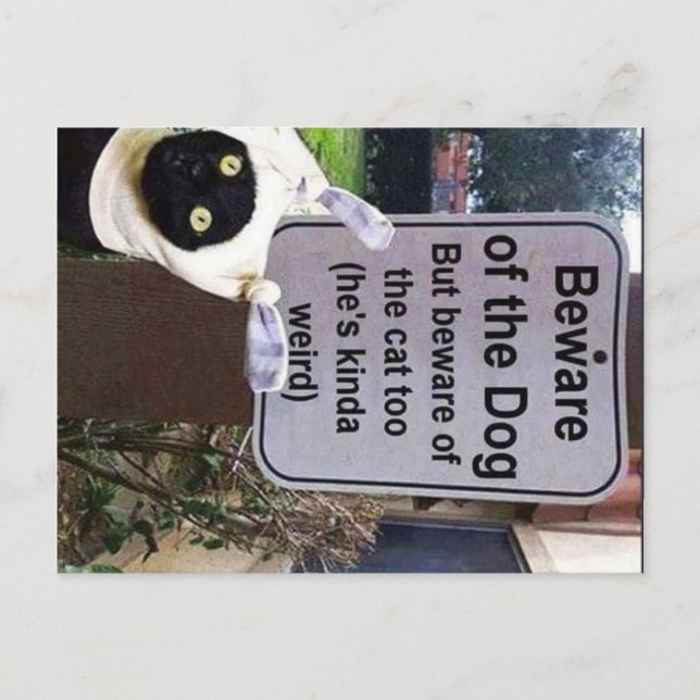 postal del gato (Anverso)