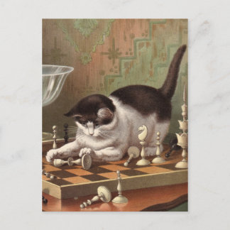 postal del gato de ajedrez