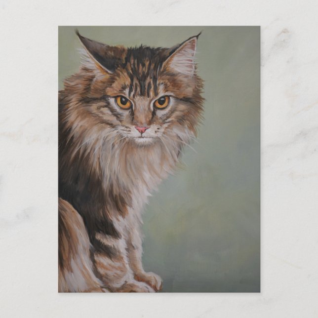 Postal del gato de Coon de Maine (Anverso)