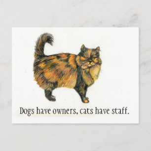 Postal del gato de Tabby de Brown