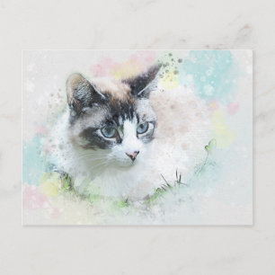 postal del gato soñado