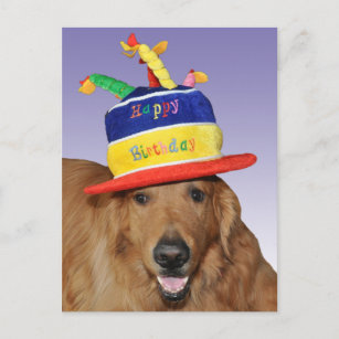 Postal del gorra de la torta de cumpleaños del