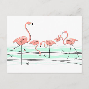 postal del Grupo Oceánico Flamingo