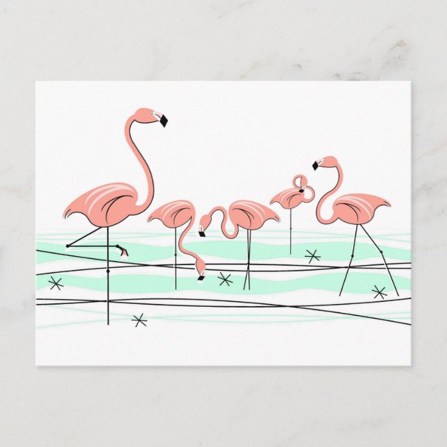 postal del Grupo Oceánico Flamingo (Anverso)