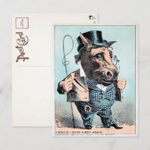 Postal del Hombre del Caballo Vintage 