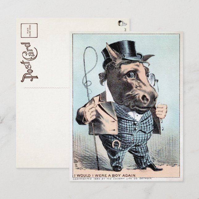 Postal del Hombre del Caballo Vintage  (Anverso / Reverso)
