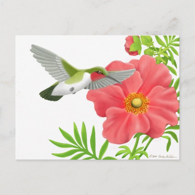 Postal del Hummingbird Ruby (Anverso)