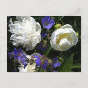 Postal del jardín de los viejos maestros