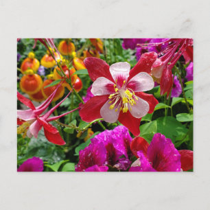 postal del Jardín de Verano