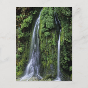 Postal del Jardín del Edén