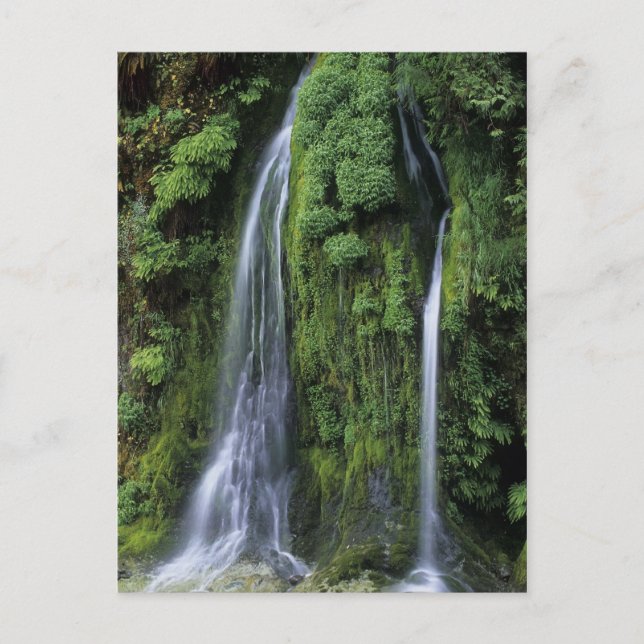 Postal del Jardín del Edén (Anverso)