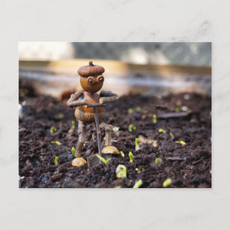Postal del jardín del elfo de Acorn