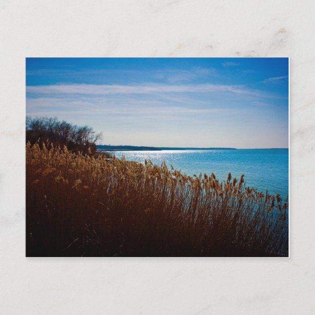 Postal del lago Joe Pool (Anverso)