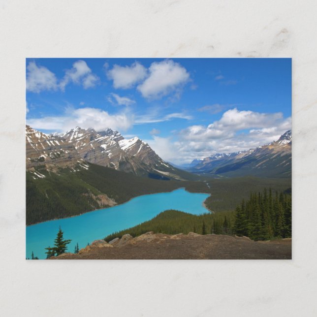 Postal del lago Peyto (Anverso)
