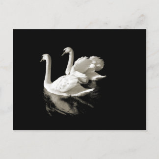 Postal del lago Swan