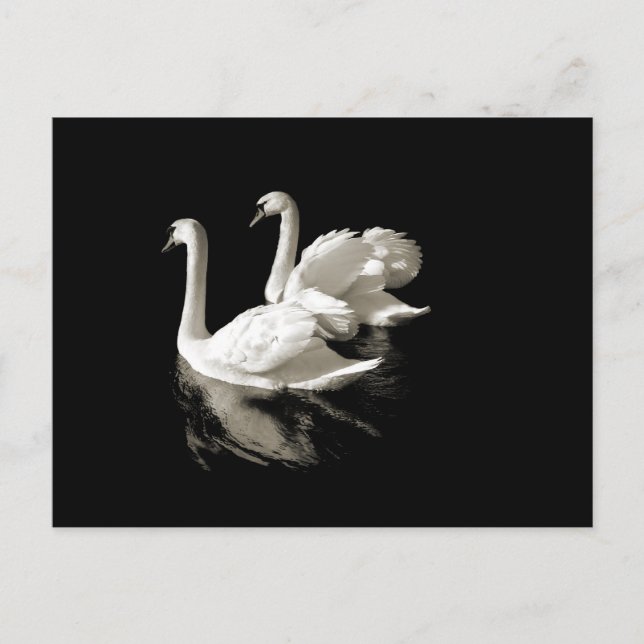 Postal del lago Swan (Anverso)