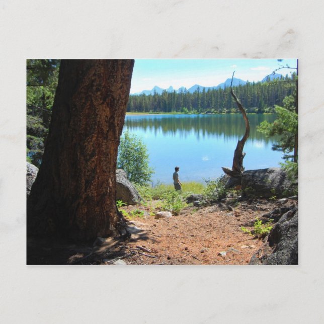 Postal del lago Wabasso (Anverso)