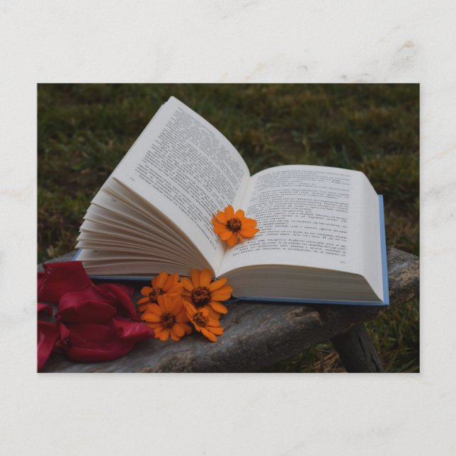 Postal del libro (Anverso)