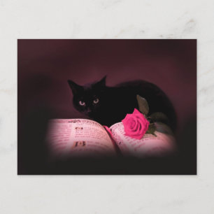 postal del libro de gatos románticos rosa