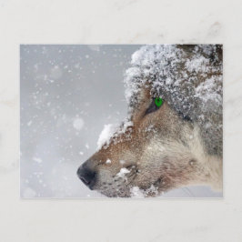 Postal del lobo cubierta de nieve
