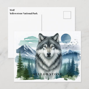 Postal del lobo de Yellowstone