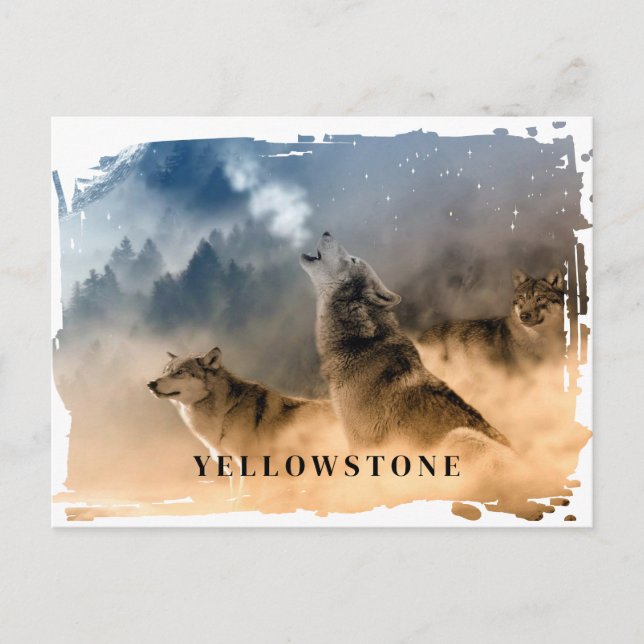 Postal del lobo de Yellowstone (Anverso)