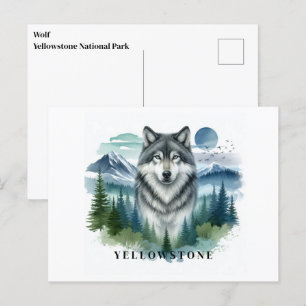 Postal del lobo de Yellowstone