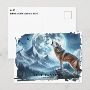 Postal del lobo de Yellowstone