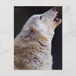 POSTAL DEL LOBO DEL GRITO