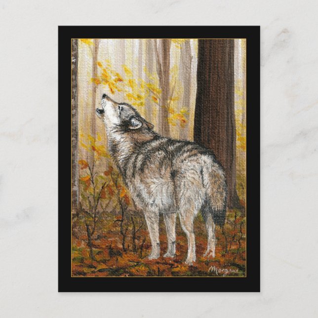 Postal del lobo Howling (Anverso)