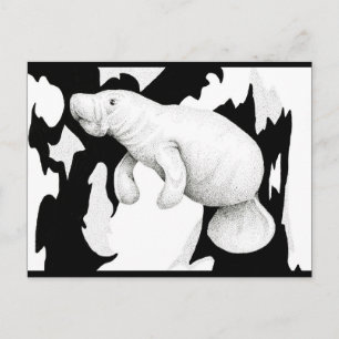 Postal del Manatee