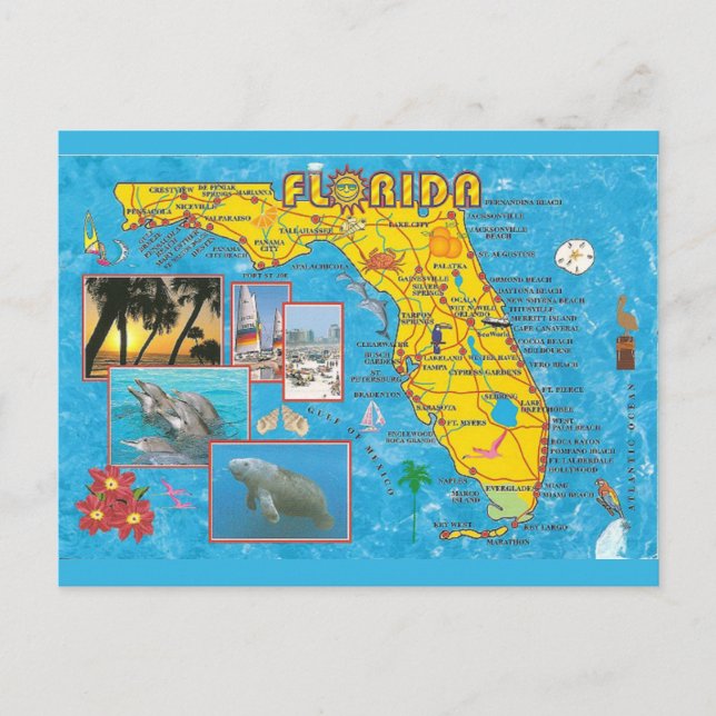 Postal del mapa del estado de Florida (Anverso)